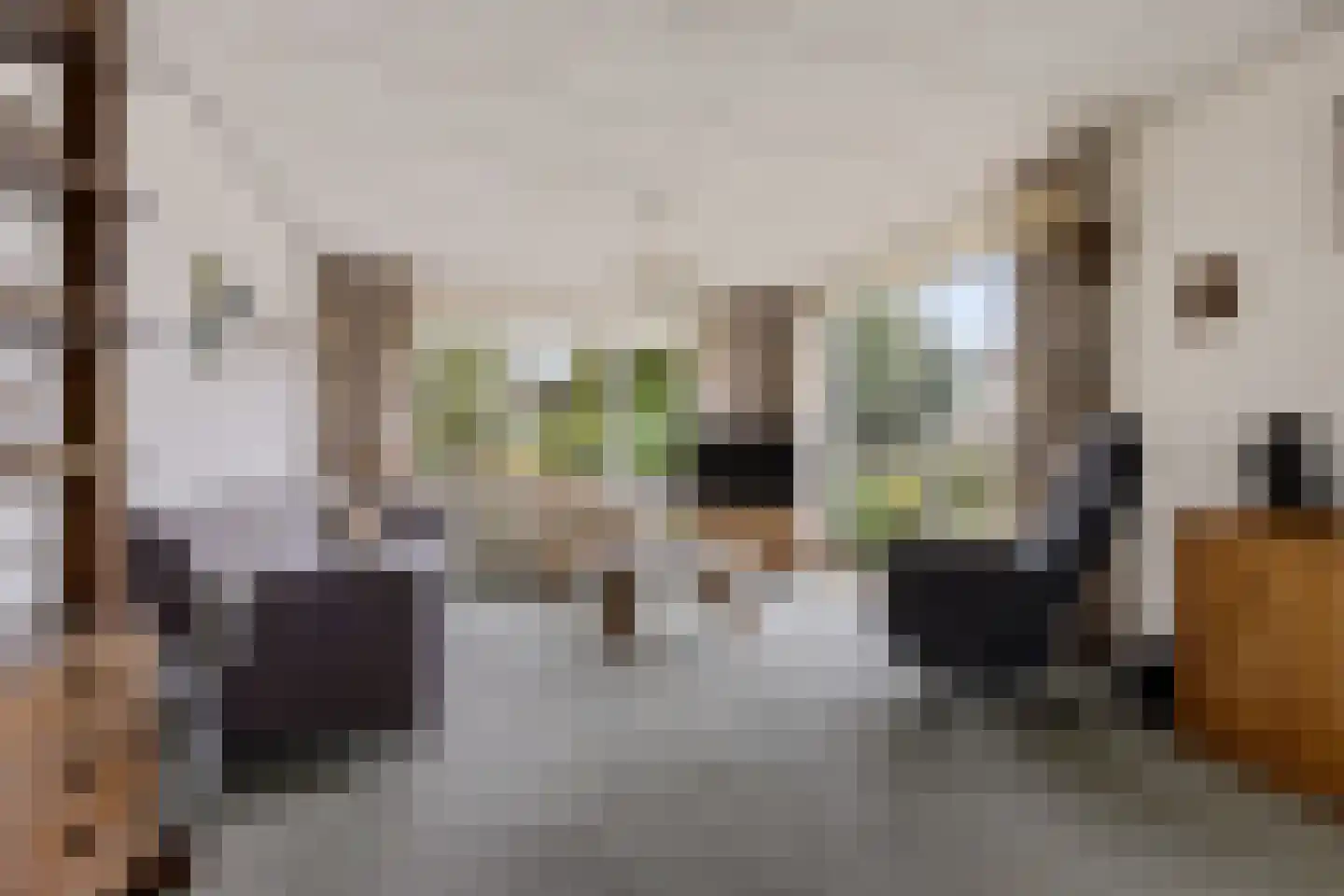 Doerebout 12 Koudum thumbnail 8