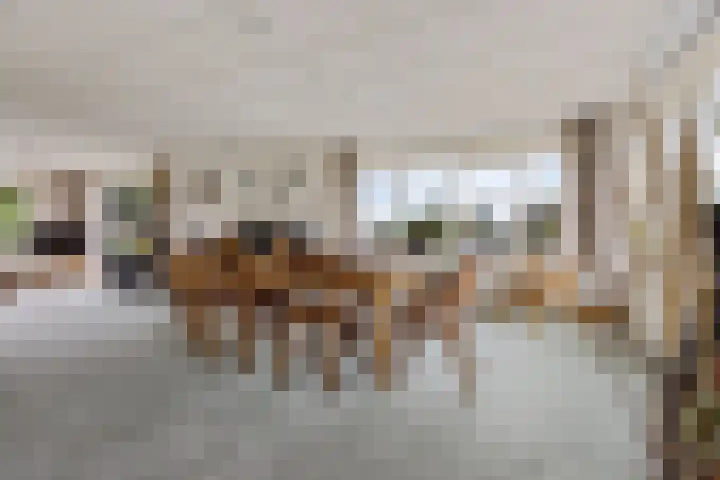 Doerebout 12 Koudum thumbnail 9