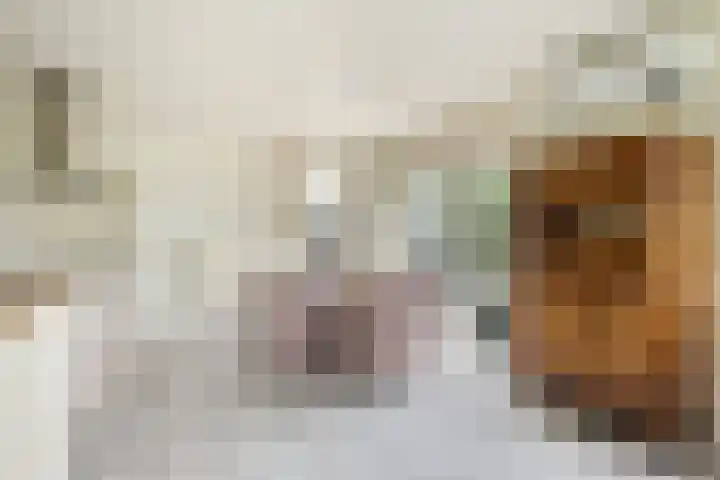 Doerebout 22 Koudum thumbnail 15