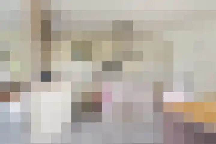 Doerebout 22 Koudum thumbnail 16