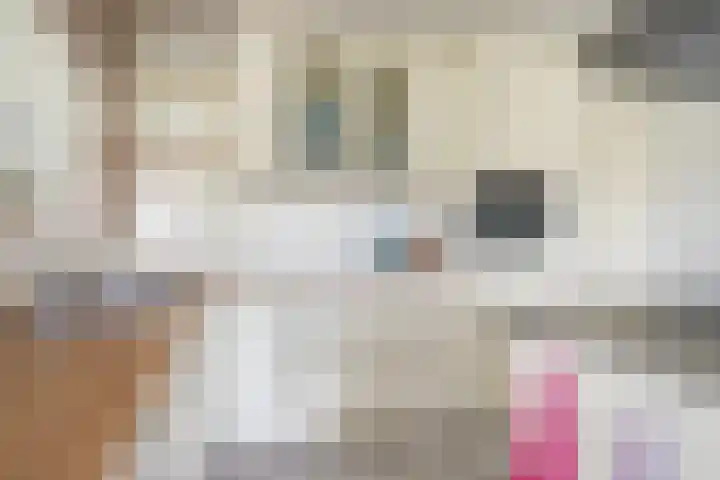 Doerebout 22 Koudum thumbnail 17
