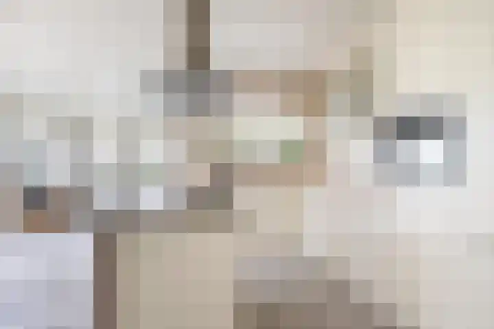 Doerebout 22 Koudum thumbnail 18