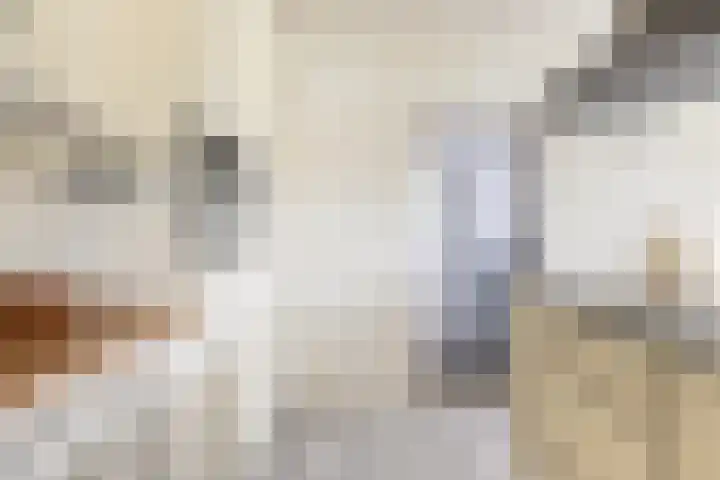 Doerebout 22 Koudum thumbnail 19