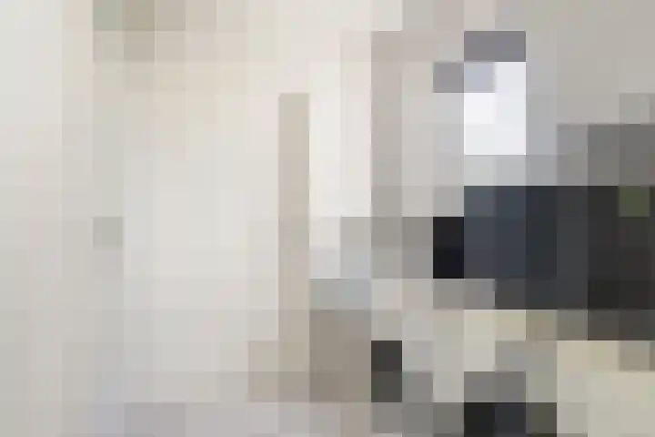 Doerebout 22 Koudum thumbnail 20