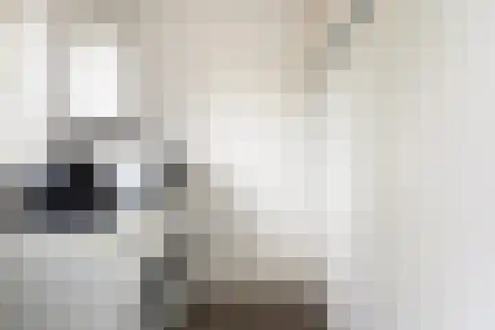 Doerebout 22 Koudum thumbnail 21