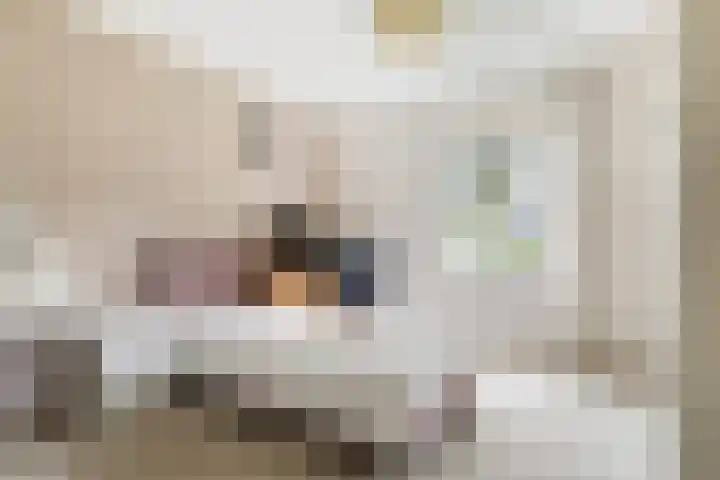 Doerebout 22 Koudum thumbnail 22