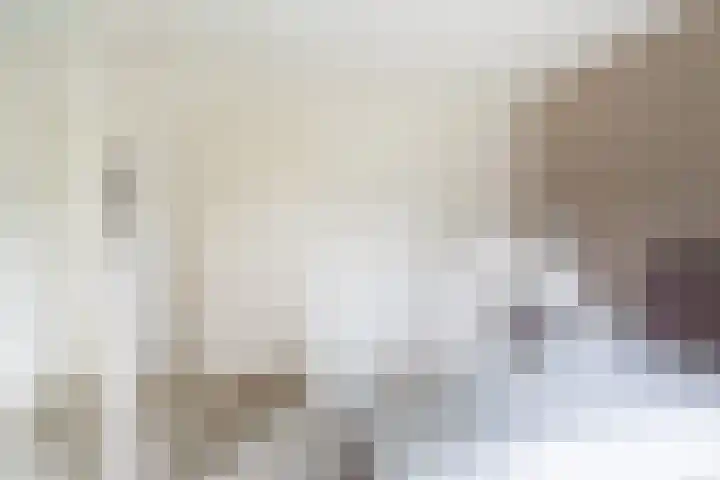 Doerebout 22 Koudum thumbnail 23