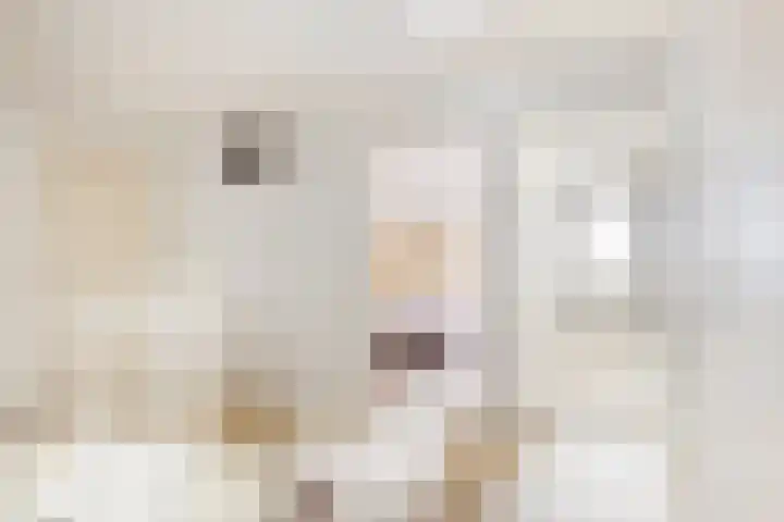 Doerebout 22 Koudum thumbnail 24