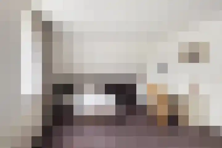 Doerebout 22 Koudum thumbnail 30