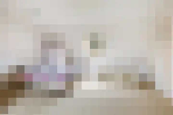 Doerebout 22 Koudum thumbnail 33