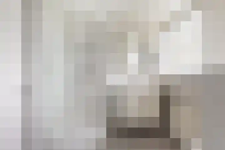 Doerebout 22 Koudum thumbnail 35