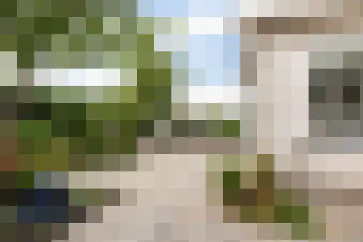 Doerebout 22 Koudum thumbnail 38