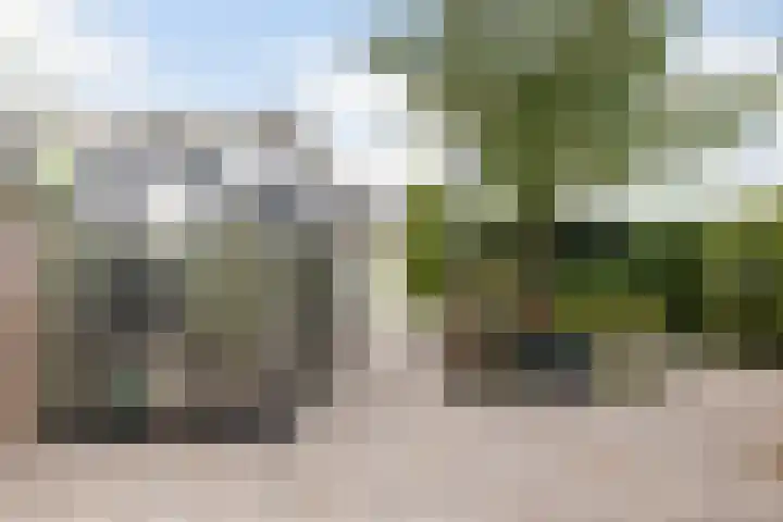Doerebout 22 Koudum thumbnail 39