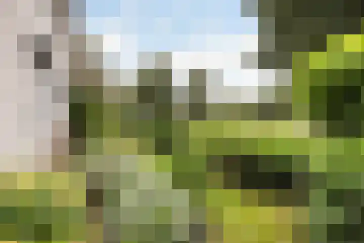 Doerebout 22 Koudum thumbnail 41