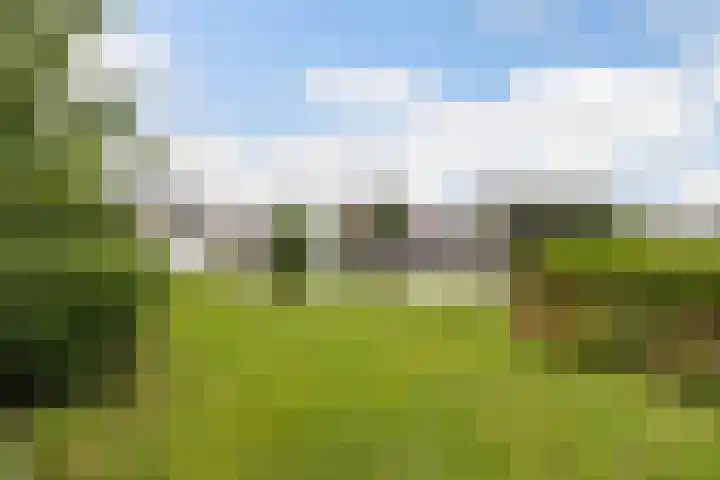 Doerebout 22 Koudum thumbnail 42