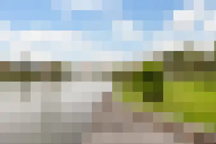 Doerebout 22 Koudum thumbnail 43