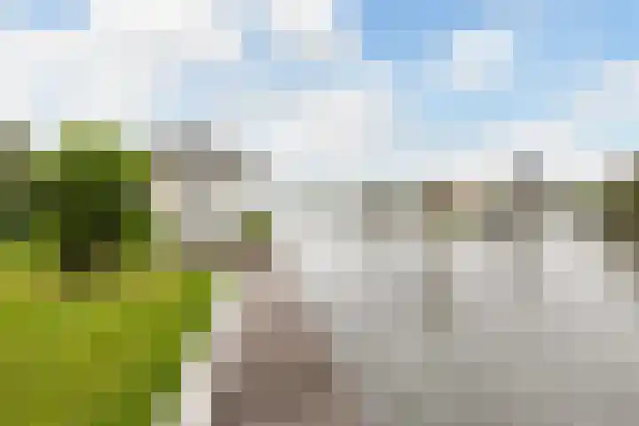 Doerebout 22 Koudum thumbnail 44