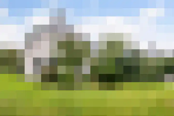 Doerebout 22 Koudum thumbnail 45