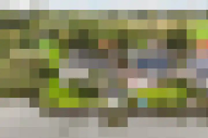 Doerebout 22 Koudum thumbnail 46