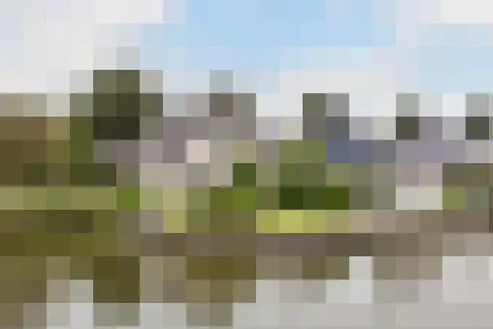 Doerebout 22 Koudum thumbnail 47