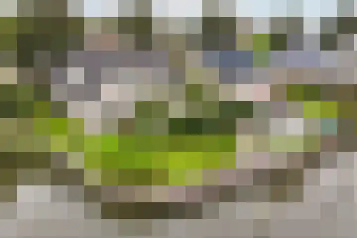 Doerebout 22 Koudum thumbnail 48