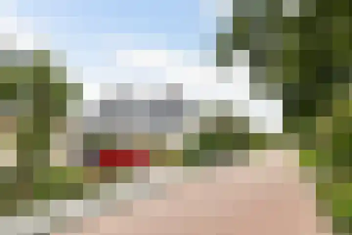 Doerebout 22 Koudum thumbnail 50