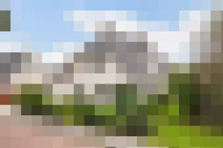 Doerebout 22 Koudum thumbnail 51