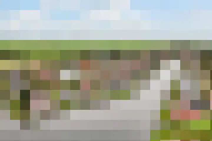 Doerebout 22 Koudum thumbnail 54