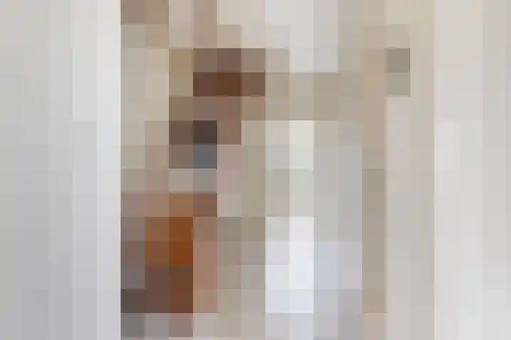 Doerebout 22 Koudum thumbnail 6