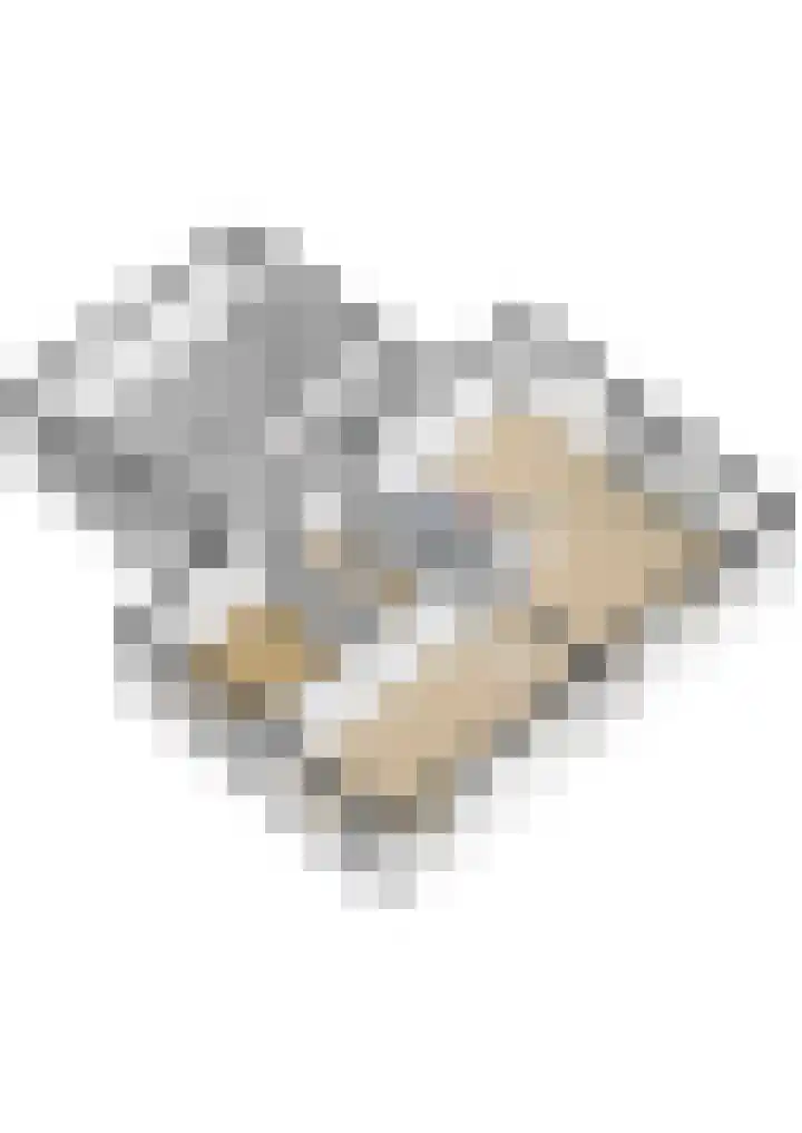 Doerebout 22 Koudum thumbnail 60