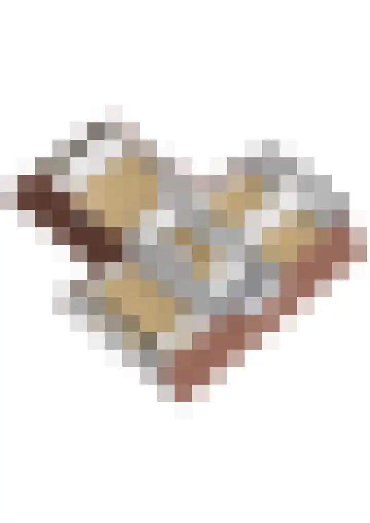 Doerebout 22 Koudum thumbnail 61