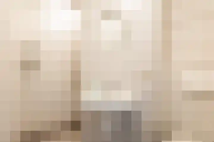 Doerebout 22 Koudum thumbnail 8