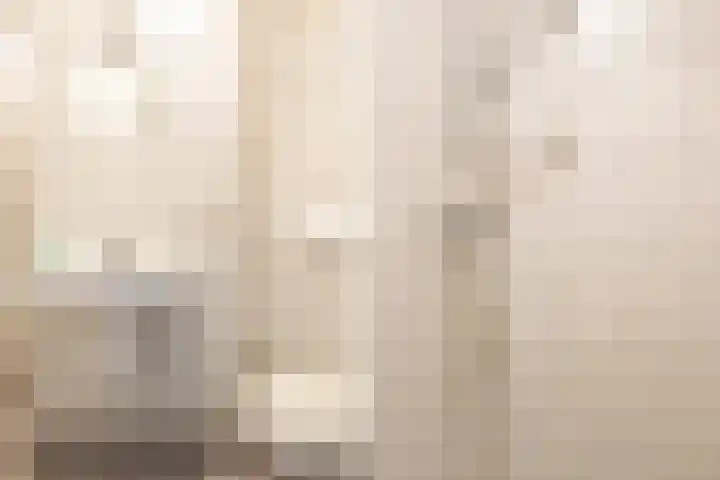 Doerebout 22 Koudum thumbnail 9