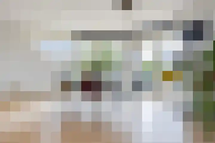 Doerebout 26 Koudum thumbnail 12