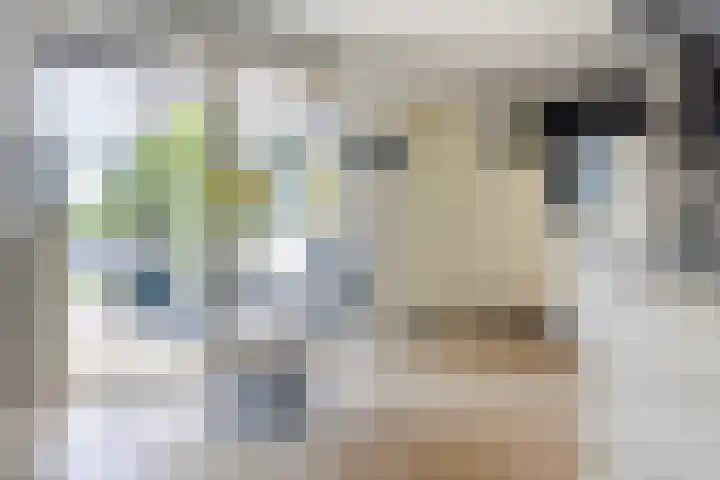 Doerebout 26 Koudum thumbnail 14