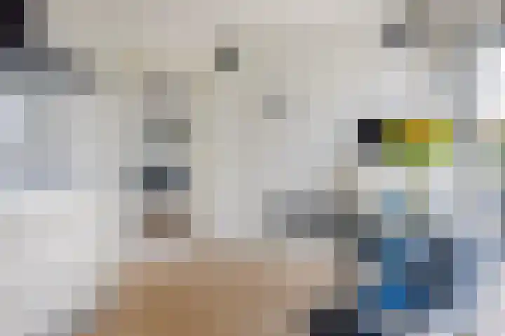 Doerebout 26 Koudum thumbnail 16
