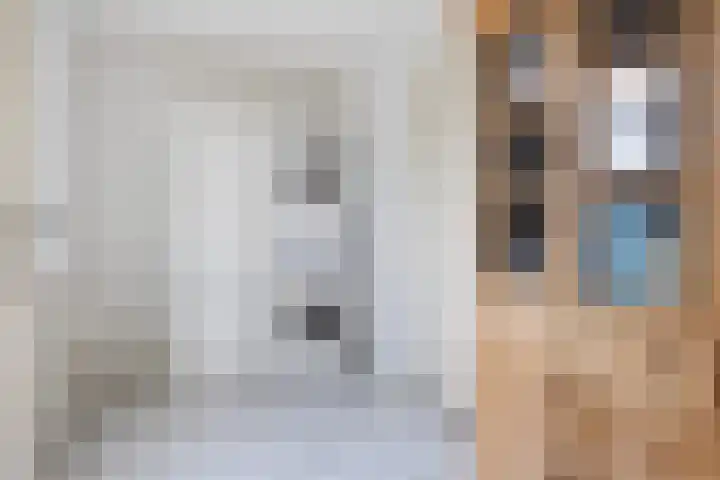 Doerebout 26 Koudum thumbnail 18