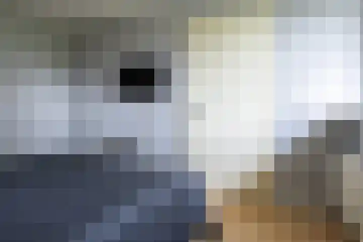 Doerebout 26 Koudum thumbnail 22