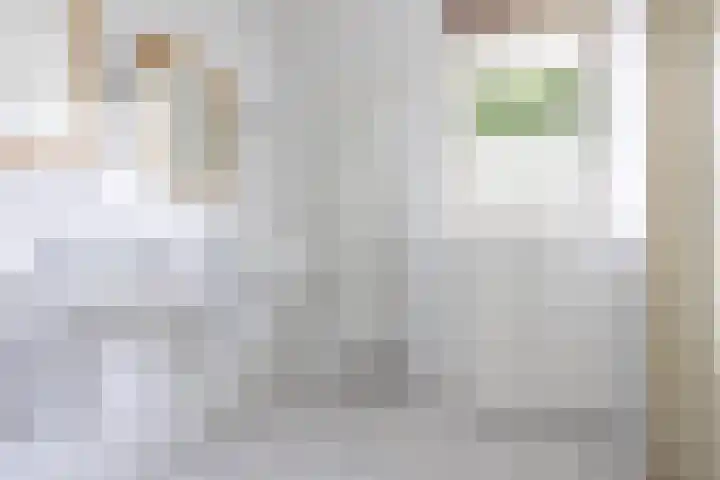 Doerebout 26 Koudum thumbnail 26