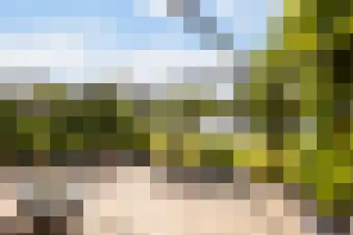 Doerebout 26 Koudum thumbnail 27