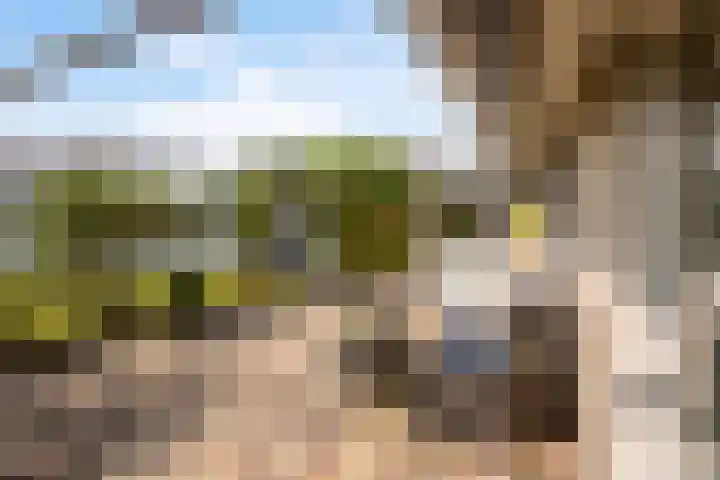 Doerebout 26 Koudum thumbnail 29