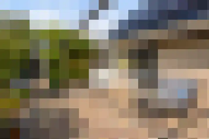 Doerebout 26 Koudum thumbnail 30
