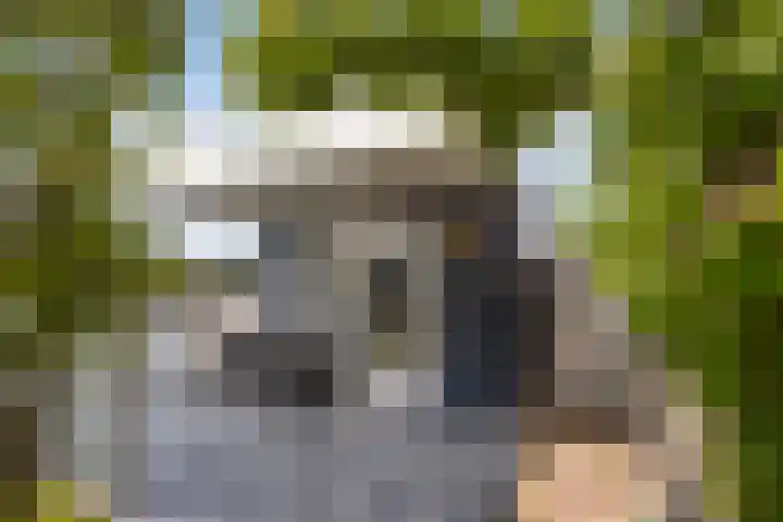 Doerebout 26 Koudum thumbnail 31