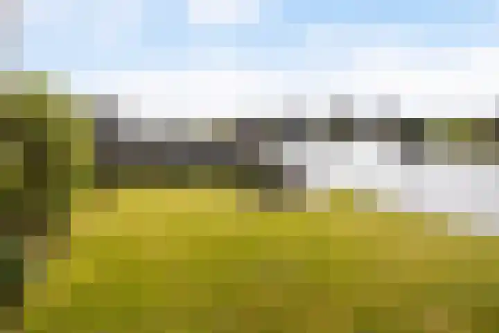 Doerebout 26 Koudum thumbnail 33