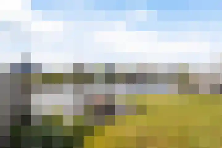 Doerebout 26 Koudum thumbnail 34