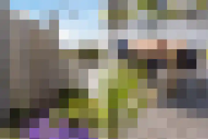 Doerebout 26 Koudum thumbnail 35