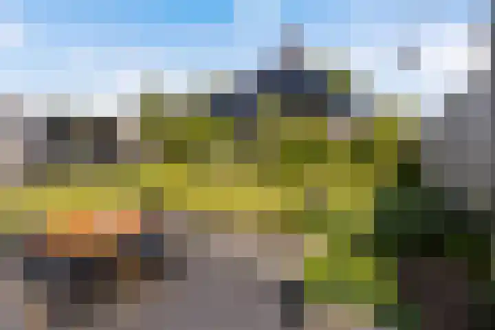 Doerebout 26 Koudum thumbnail 36