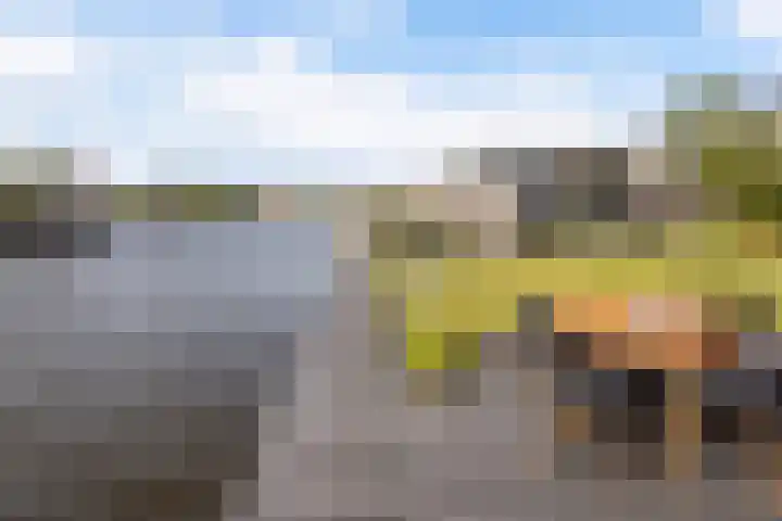Doerebout 26 Koudum thumbnail 37