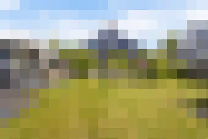 Doerebout 26 Koudum thumbnail 40