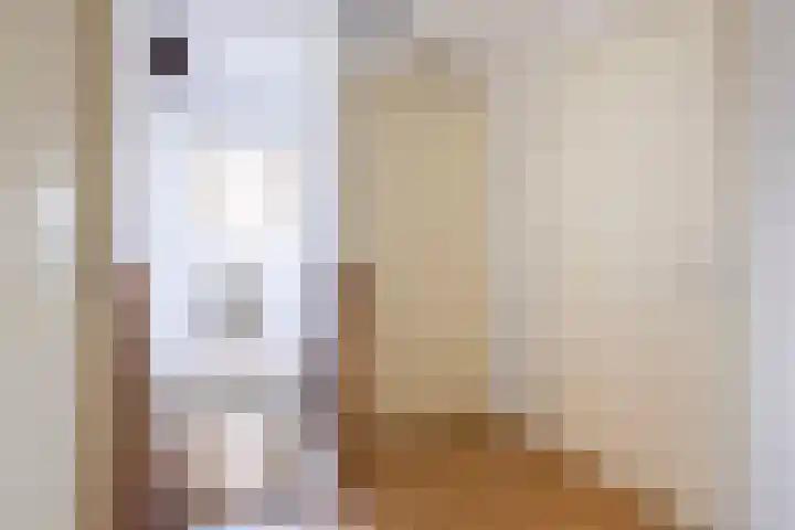 Doerebout 26 Koudum thumbnail 41
